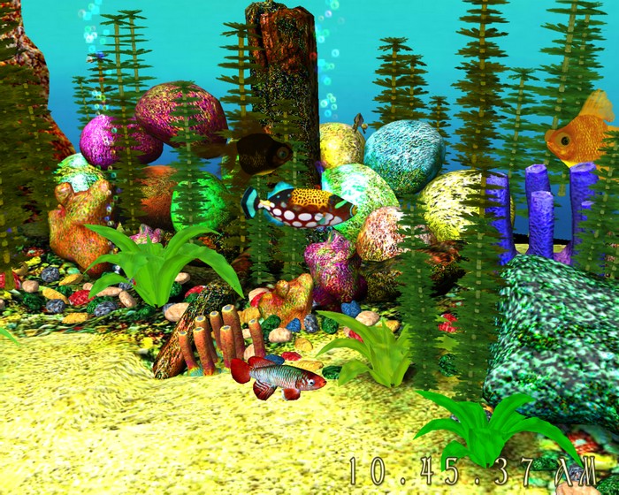 3d Aquarium Screensaver