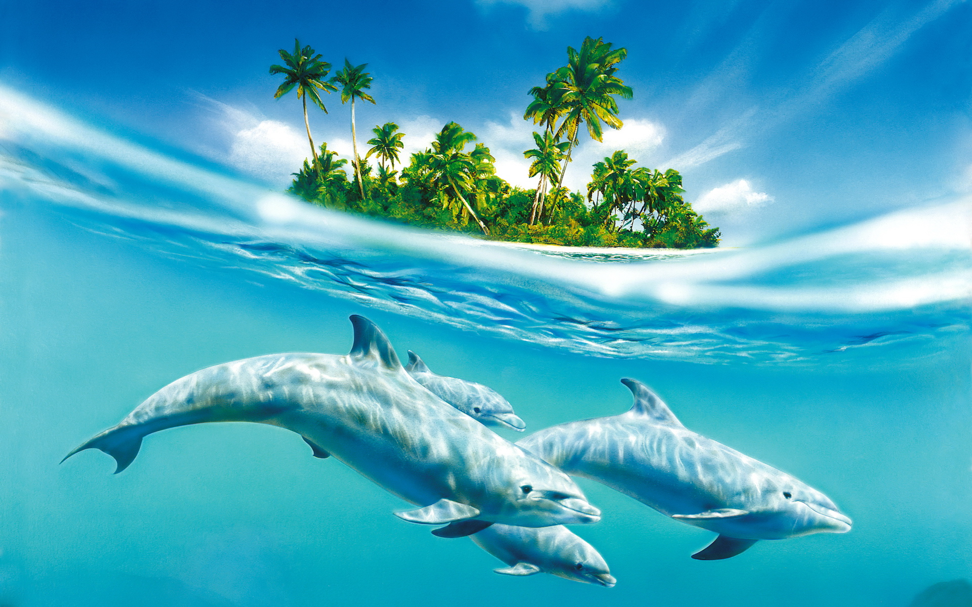 Ocean Desktop Wallpaper   Wallpaper High Definition High Quality