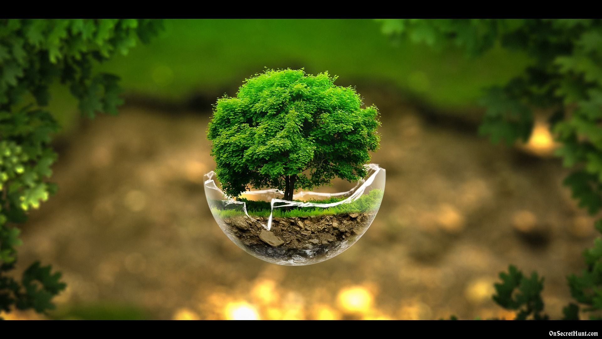 HD Nature Wallpaper For Desktop