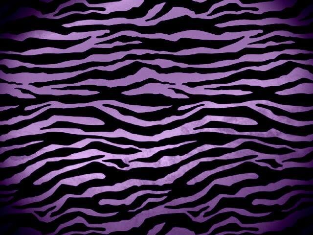 Purple Zebra Print Random Wallpaper