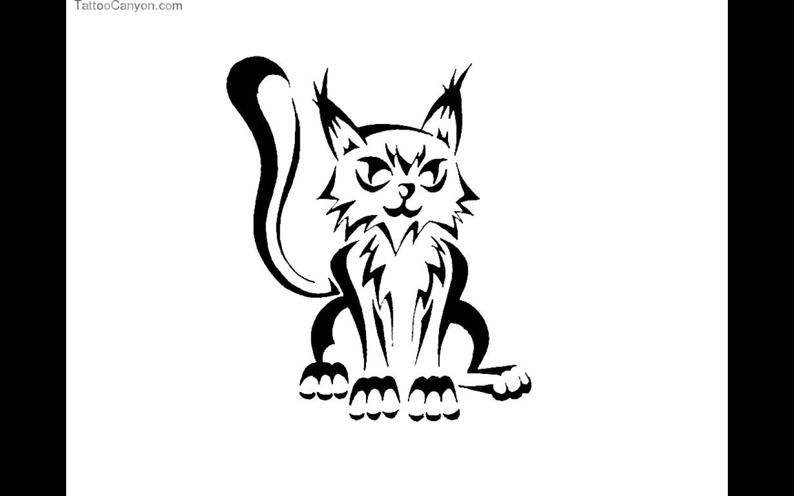 Designs Funny Cat Tattoo Wallpaper Design