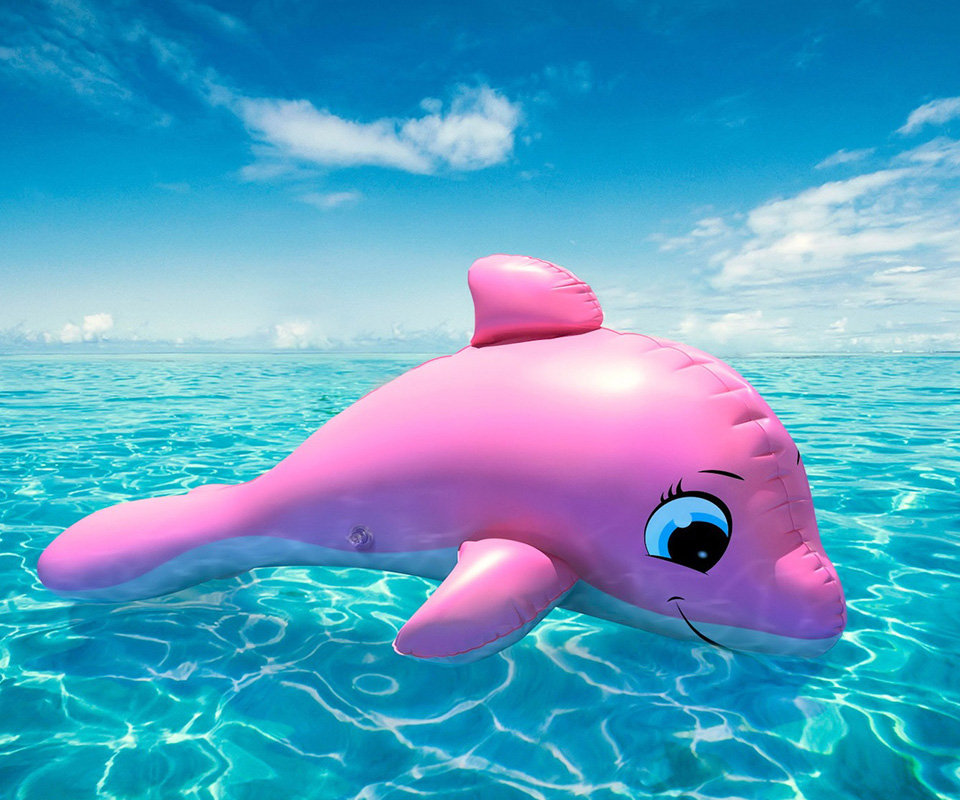 Awesome Pink Dolphin Wallpaper55 Best Wallpaper For Pcs