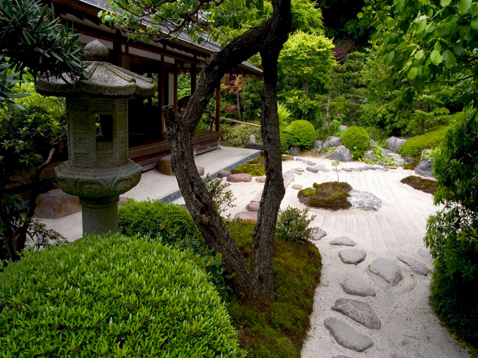 Zen Garden Wallpaper Muzic World Desktop Bonsai Tree