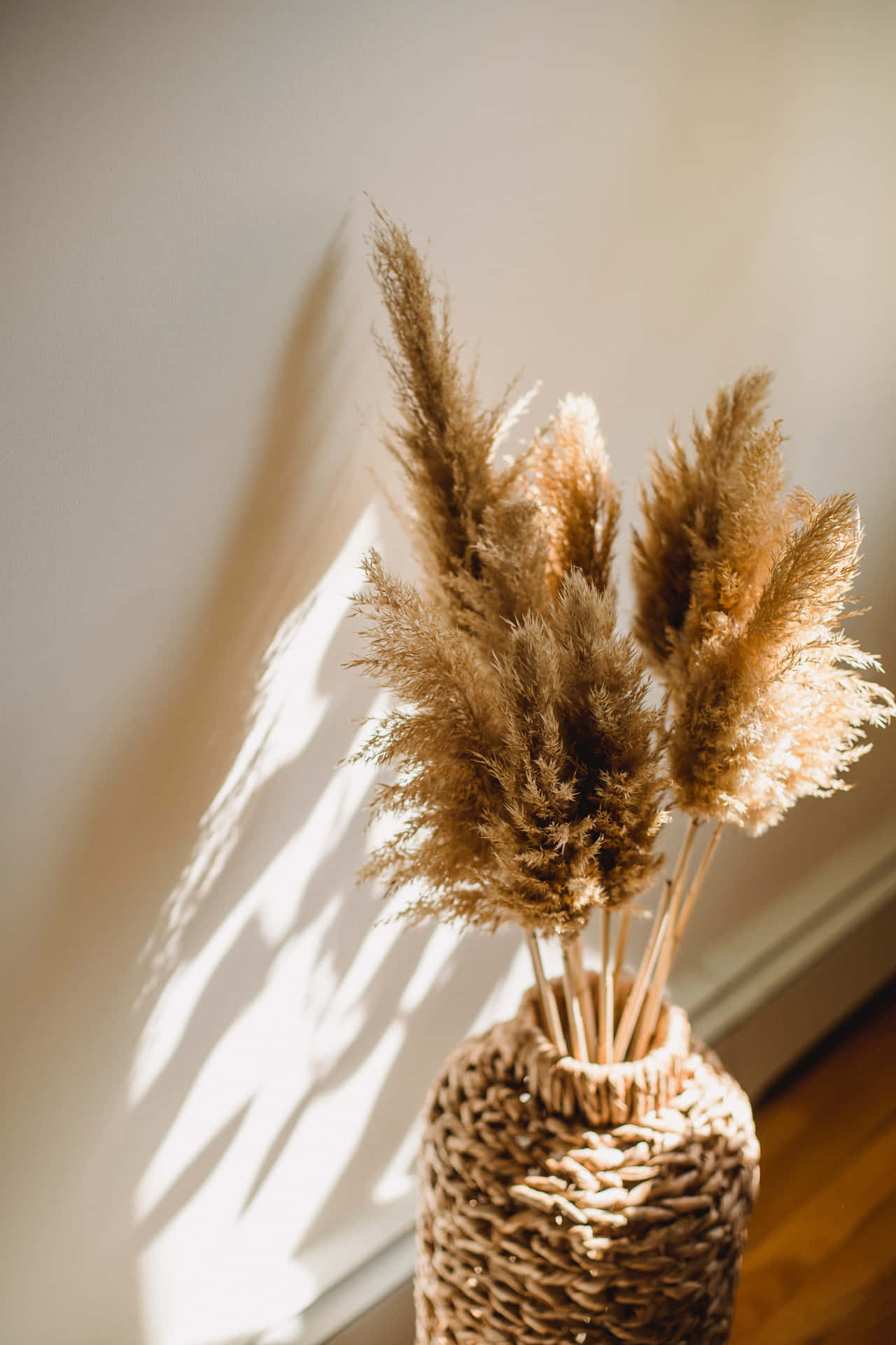 Beautiful Pampas Grass In The Sunset Wallpaper