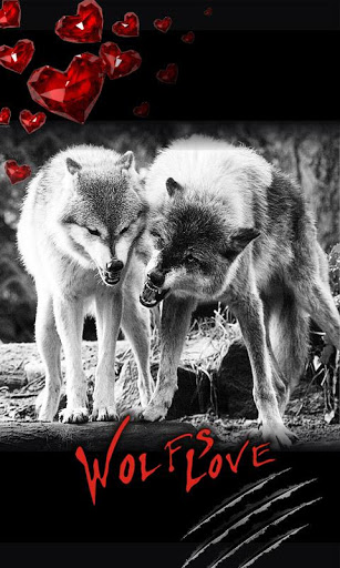 Love Wolf Best Live Wallpaper For Android