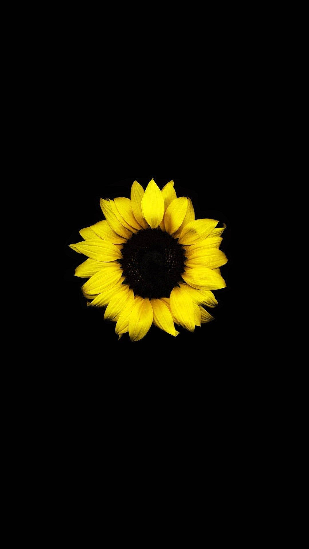 Dark HD Flowers Wallpaper