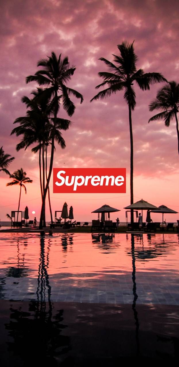 Supreme Sunset Sofia S Pins In Hypebeast Wallpaper