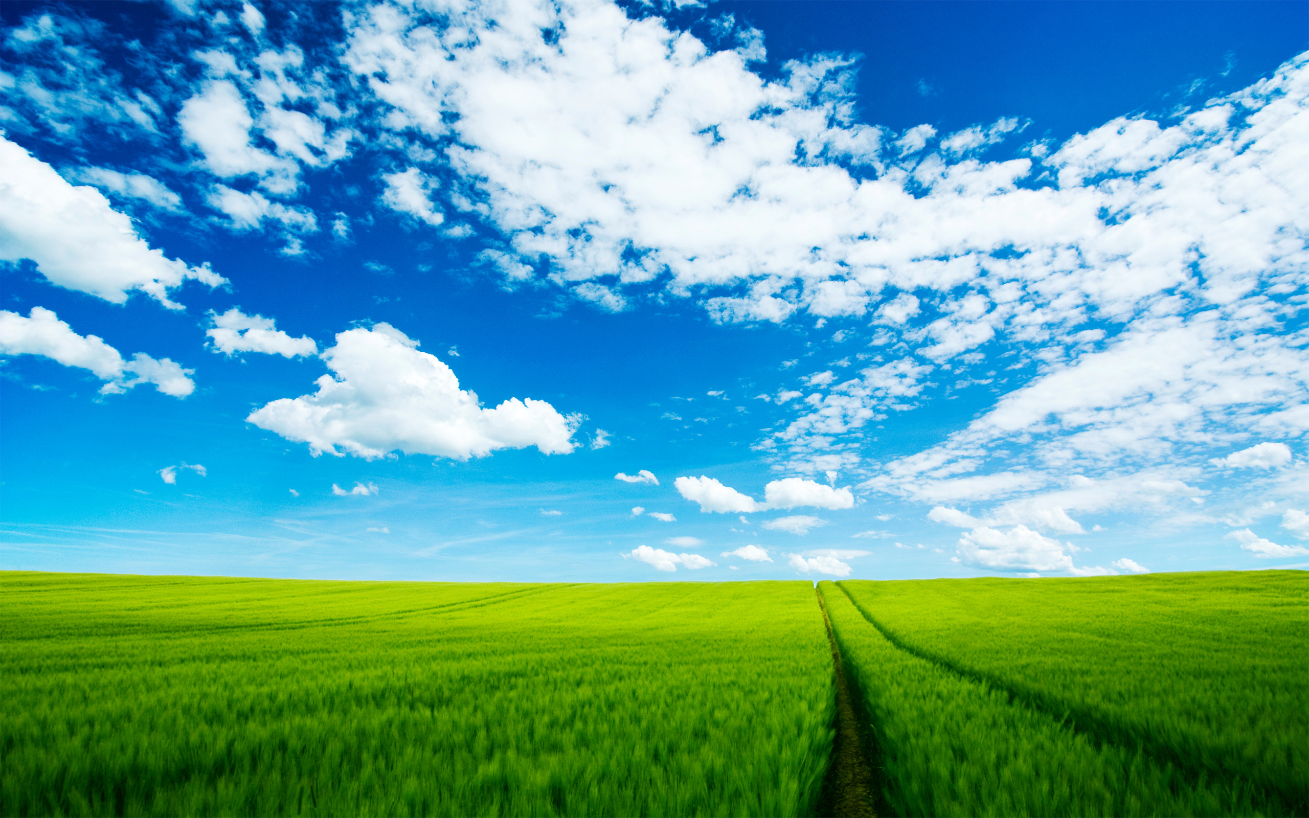 Lush green field under a vibrant blue summer sky