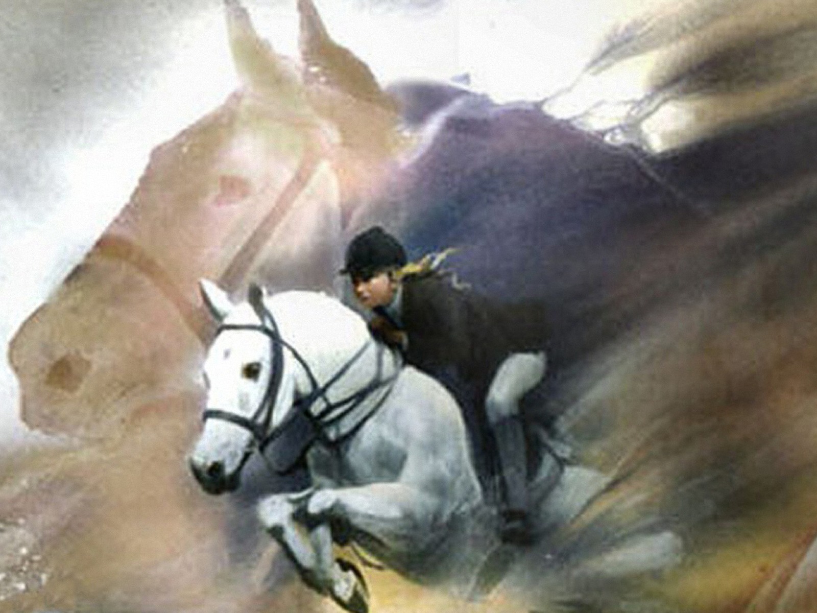Top Quality Cool Equestrian Wallpaper B Scb