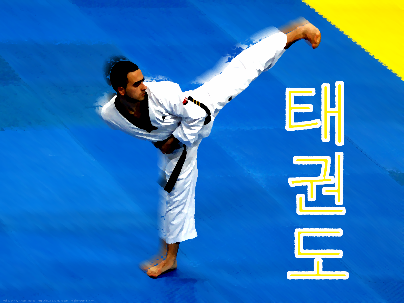Taekwondo Wallpaper By Knu