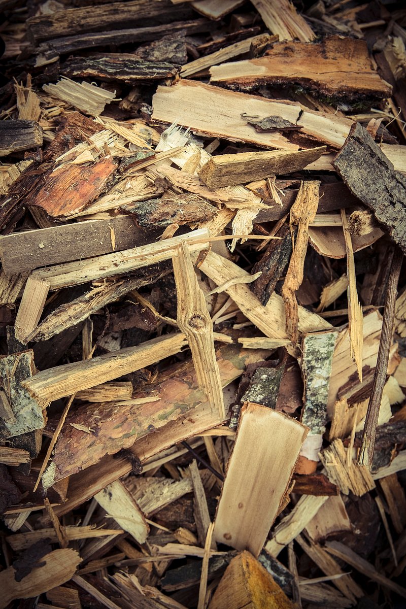 Woody Background Image Wallpaper