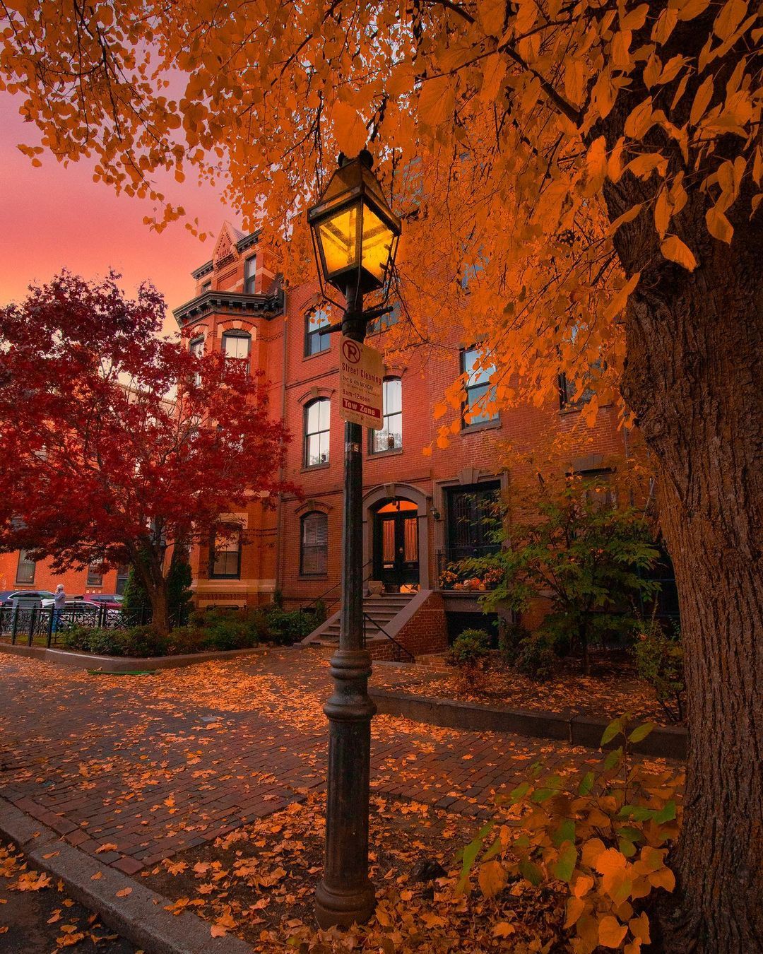 Picture Fall Wallpaper