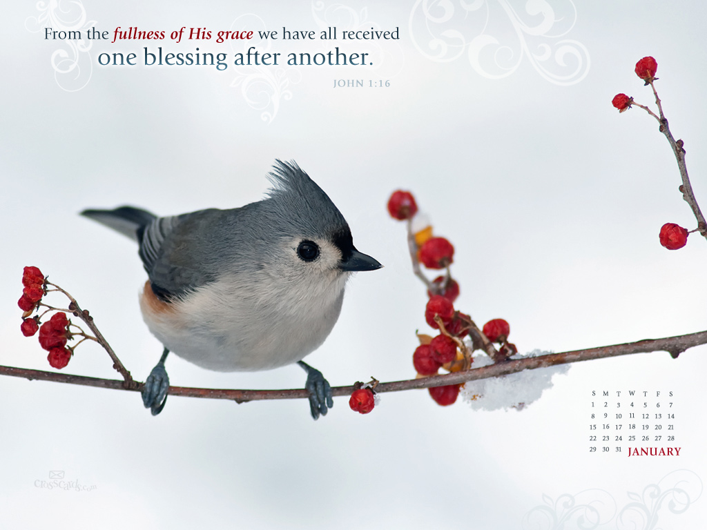 HD Christmas Bible Verse Greetings Card Wallpaper