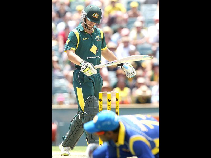 Tri Series Australia Vs Sri Lanka India Photos