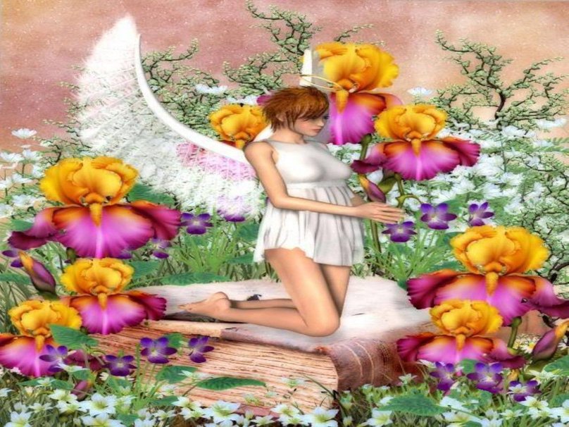 38+ Fairy Garden Wallpaper on WallpaperSafari