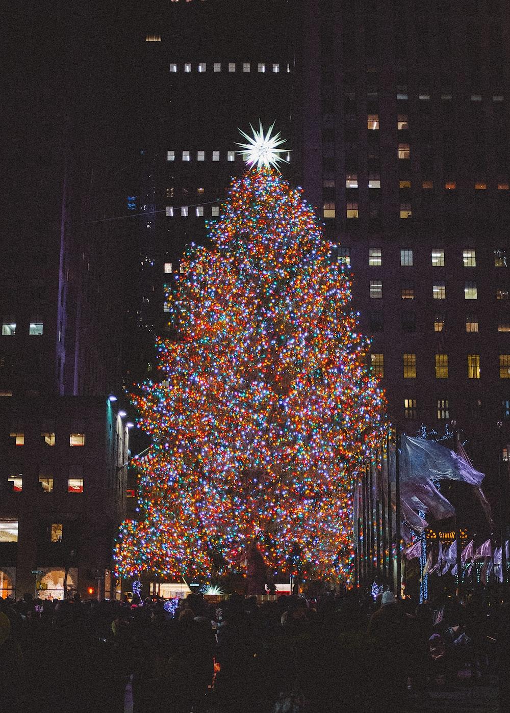  New York Christmas Pictures Download Free Images on