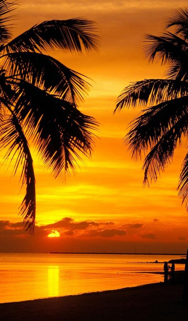 Sunset Nature Florida Key West Wallpaper