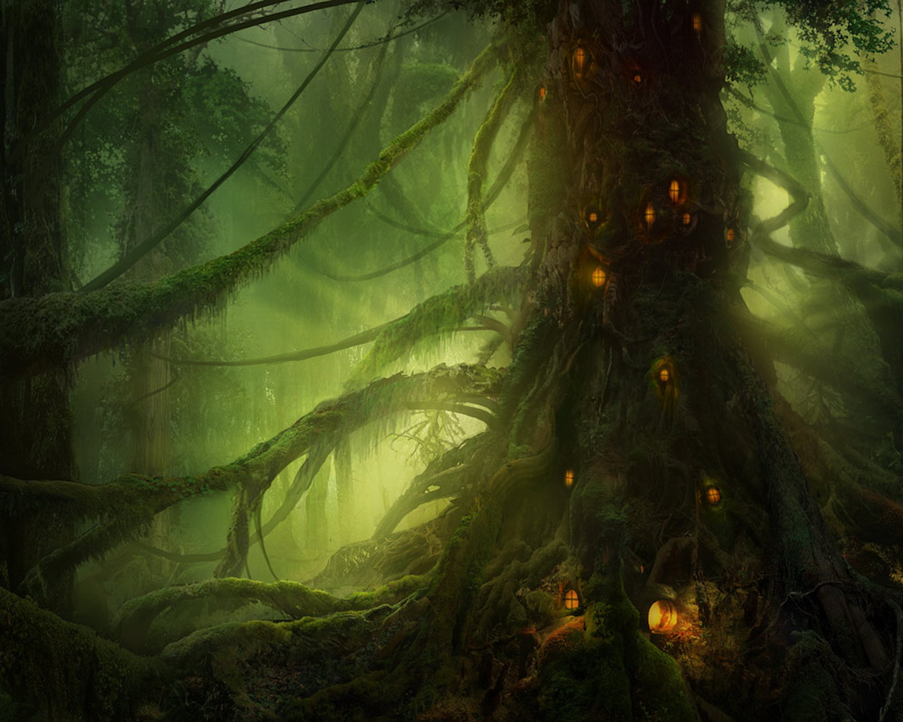 Forest Elves X Fantasy Photography Miriadna