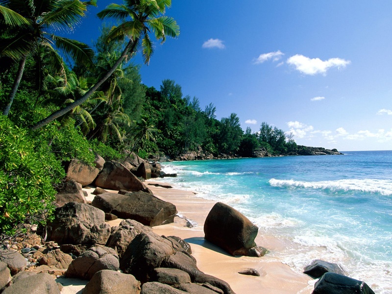 Wallpaper Puerto Rico Beach Desktop And Photos
