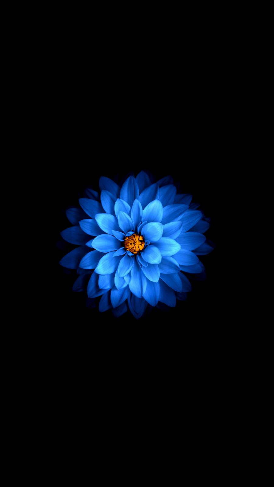 Dark Floral Wallpaper