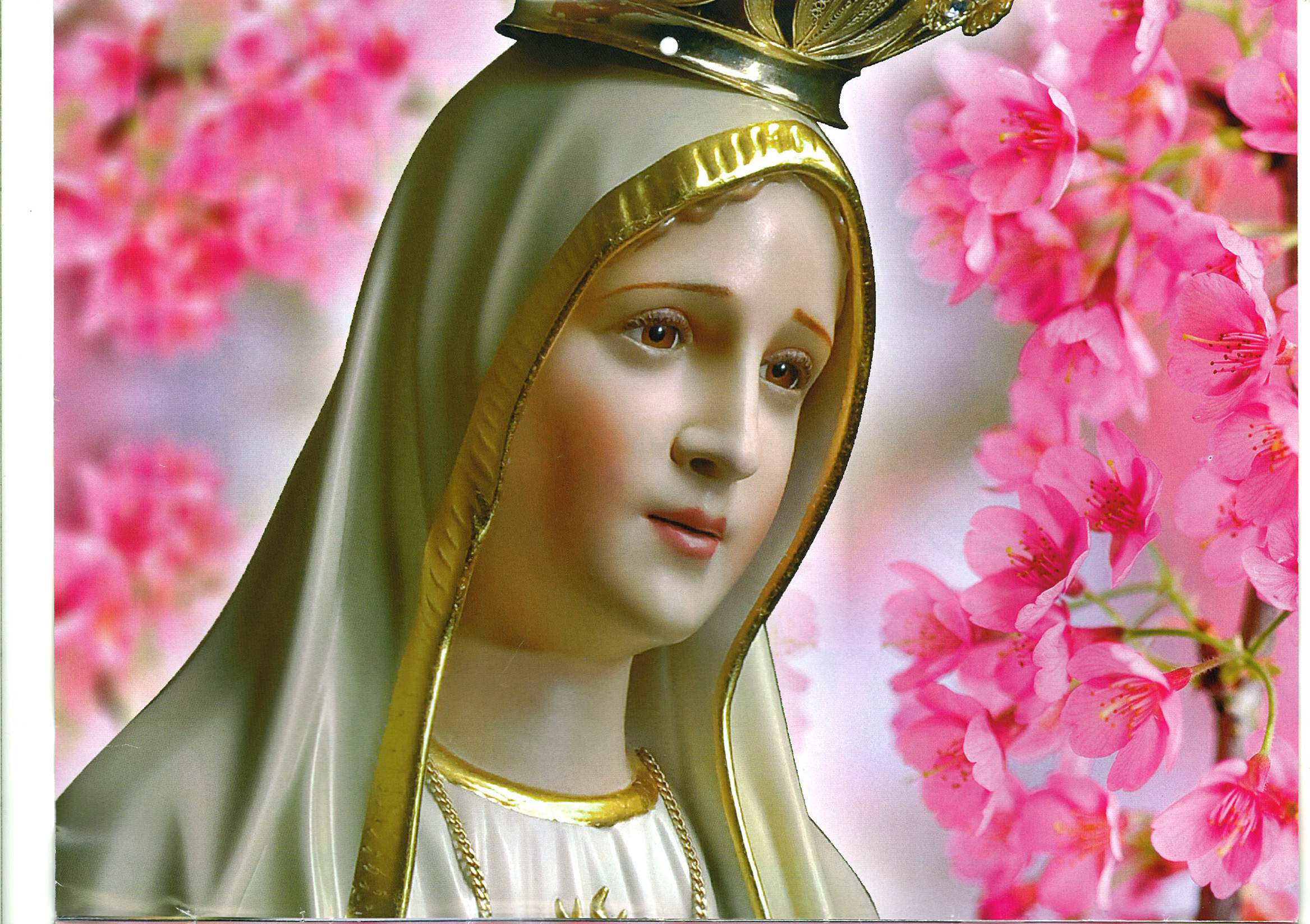 Wallpaper Of Mother Mary