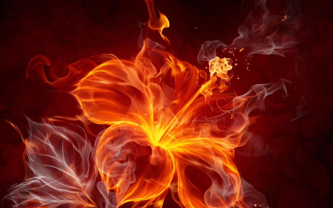 Fire Flower Abstract Wallpaper