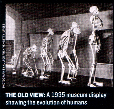 The Evolution Of Early Man