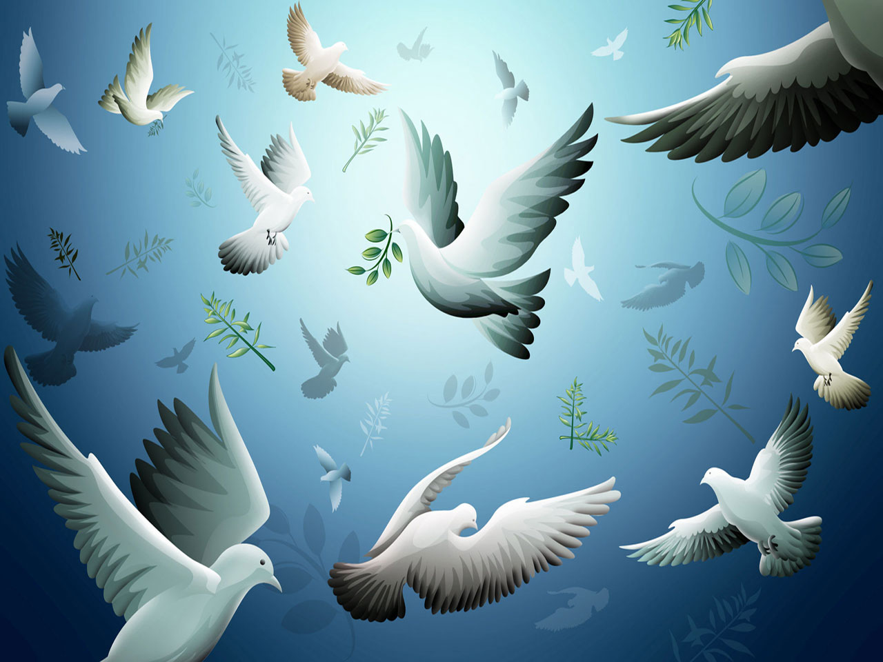 Animated Nature Wallpaper Pigeons Jpg