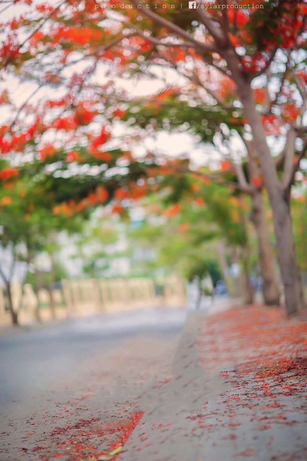 background blur photoshop free download