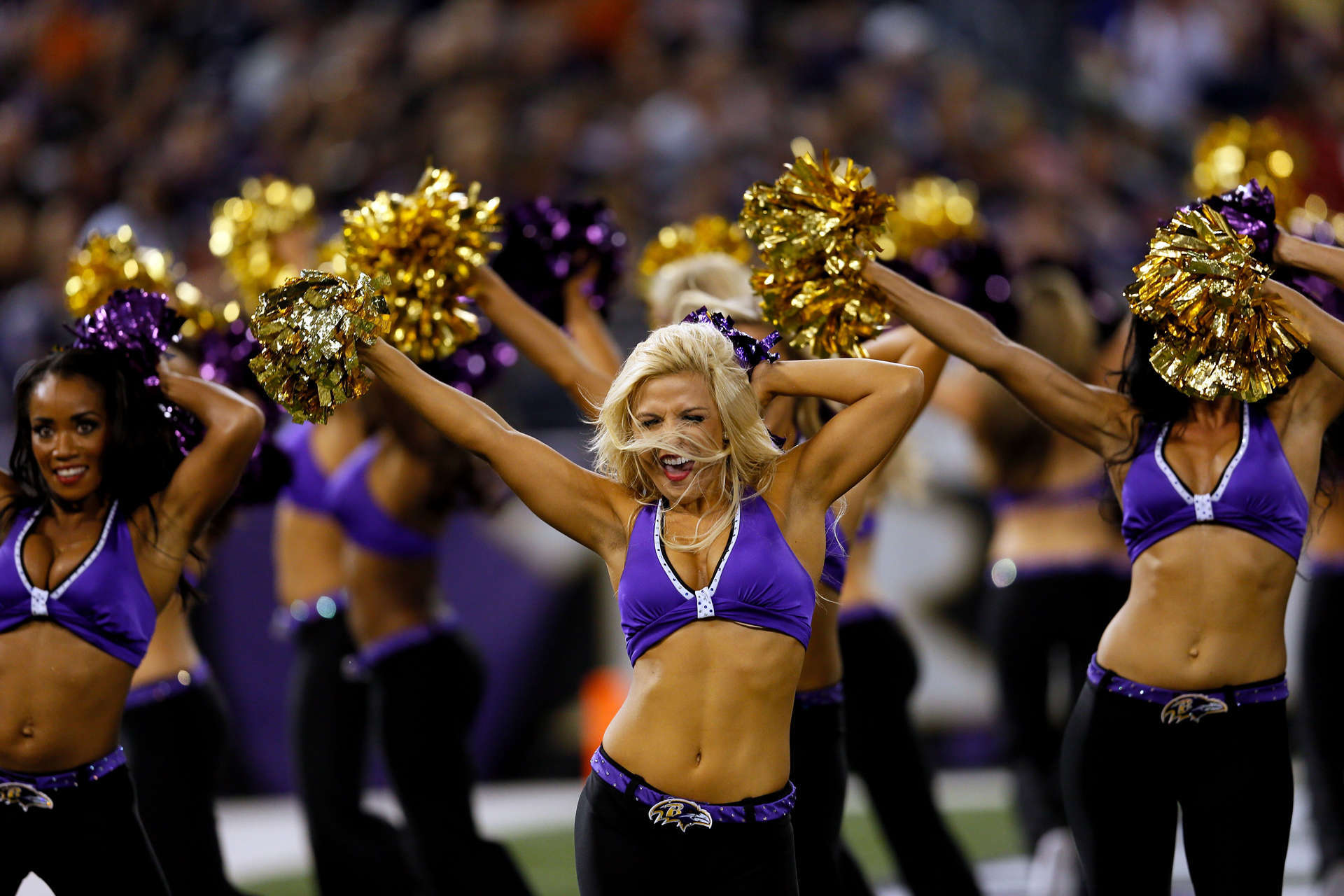 Ravens Cheerleaders Roster Nfl Image Picture
