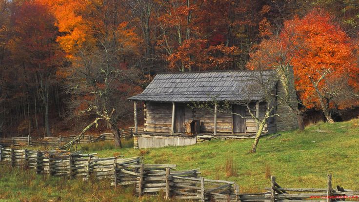 Log Cabin Window Log Cabin Wallpaper brightly fall colored trees