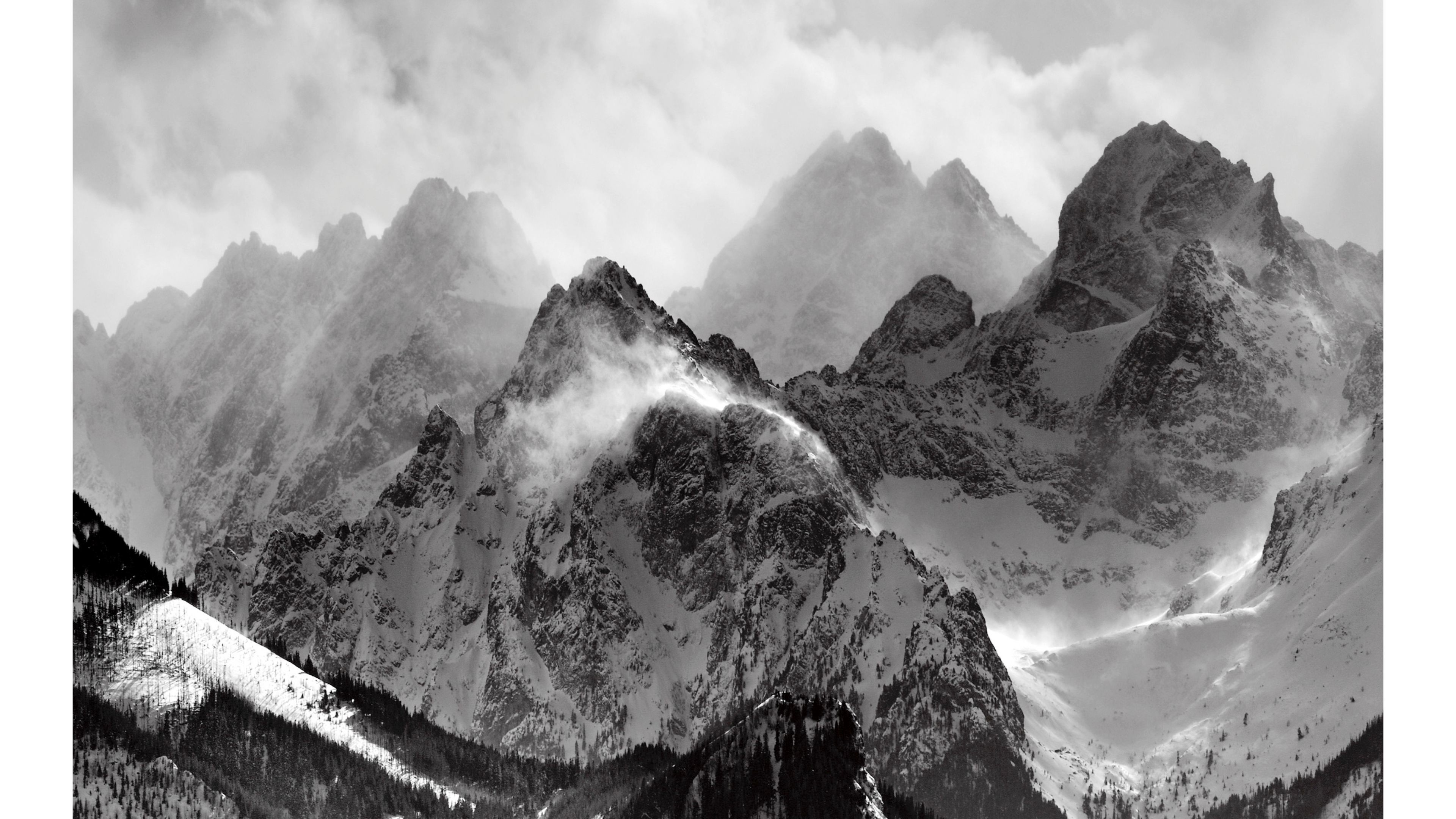 4k Black And White Wallpaper