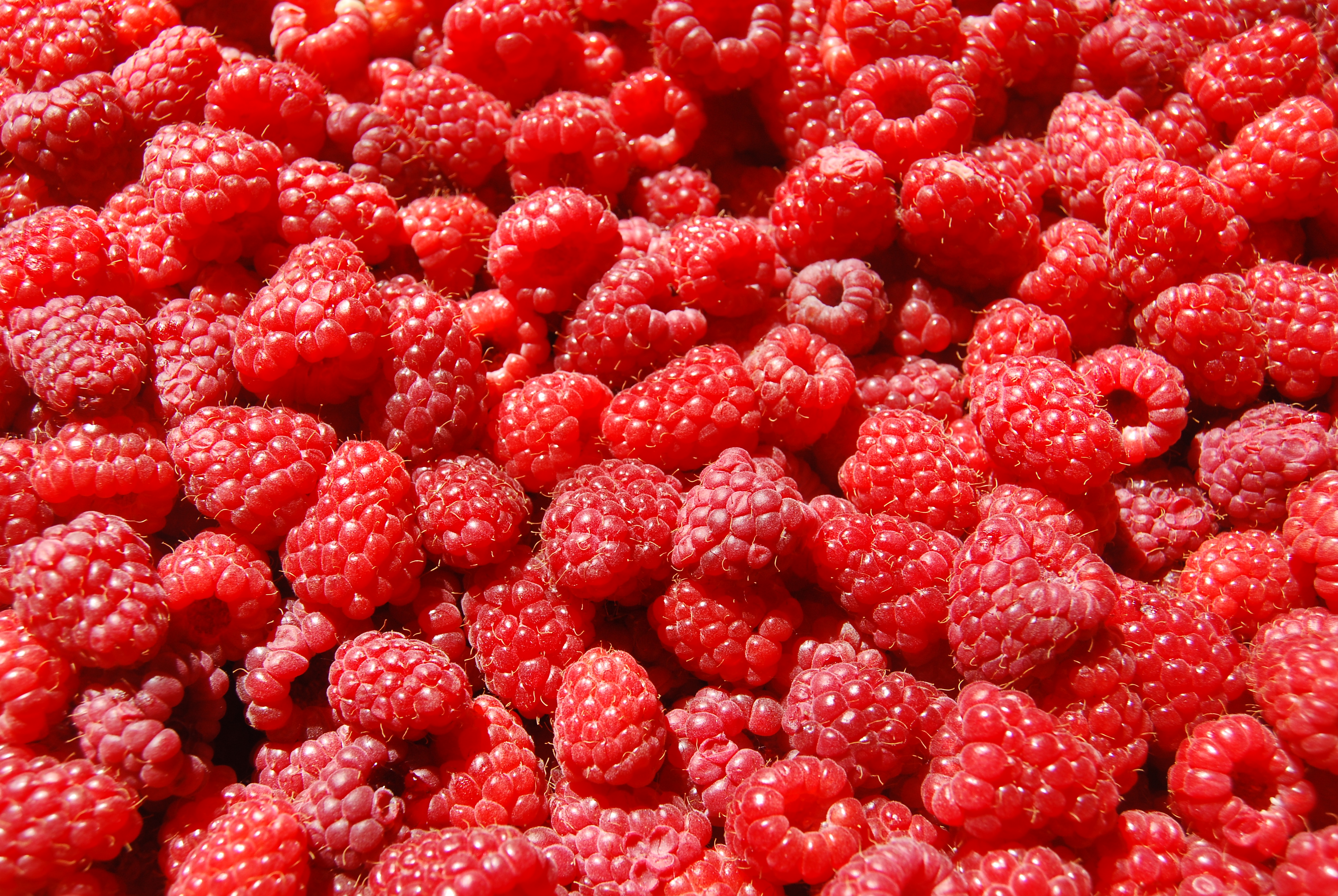 Raspberry Background Wallpaper Image In Collection
