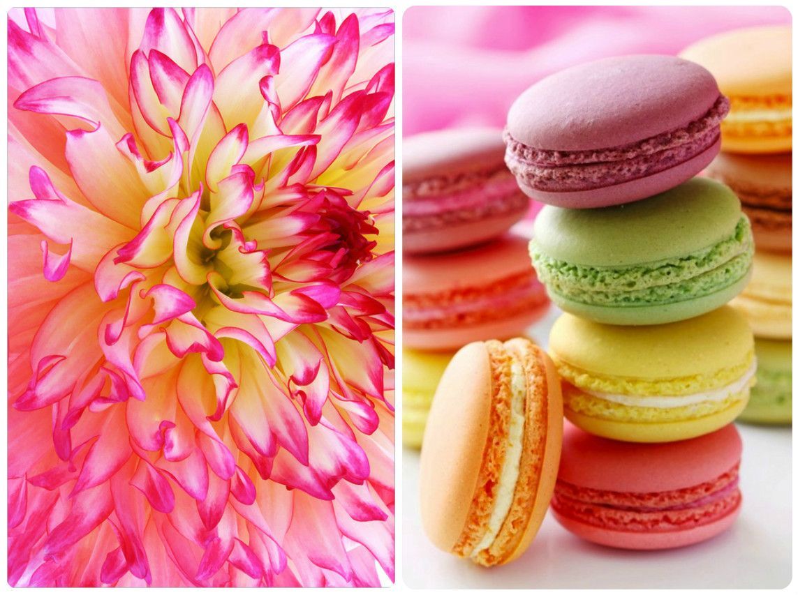 Macaroons Wallpaper Image In Collection
