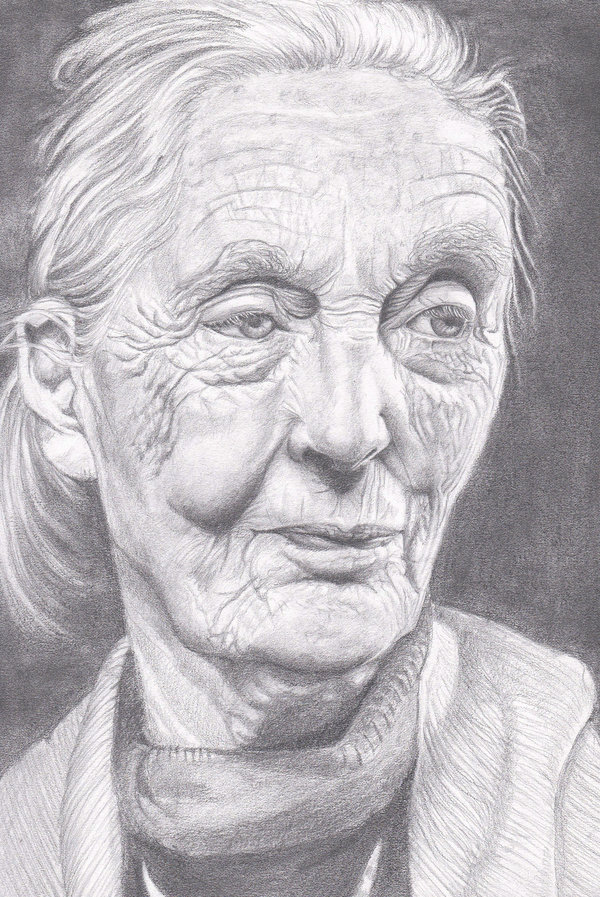 Portrait Of Jane Goodall By Dorathean