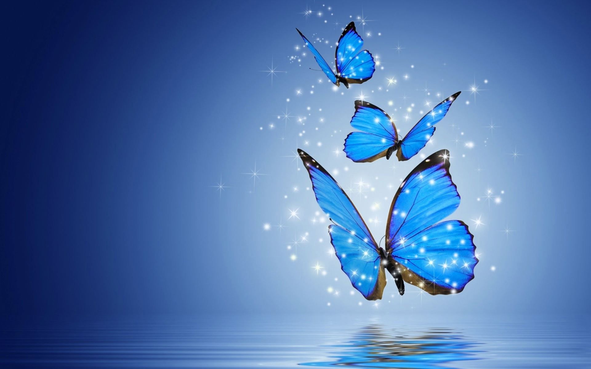 HD Wallpaper For Desktop Butterflies Background