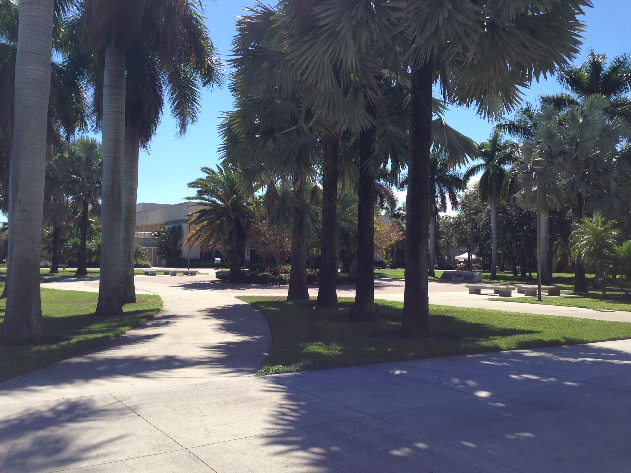 File Fau Alumni Plaza With Gs Building In Background Jpg