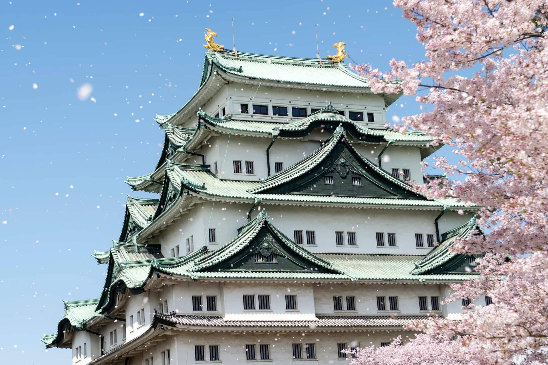 Nagoya Castle At Spring J00lhs6fr33rgowx Wallpaper