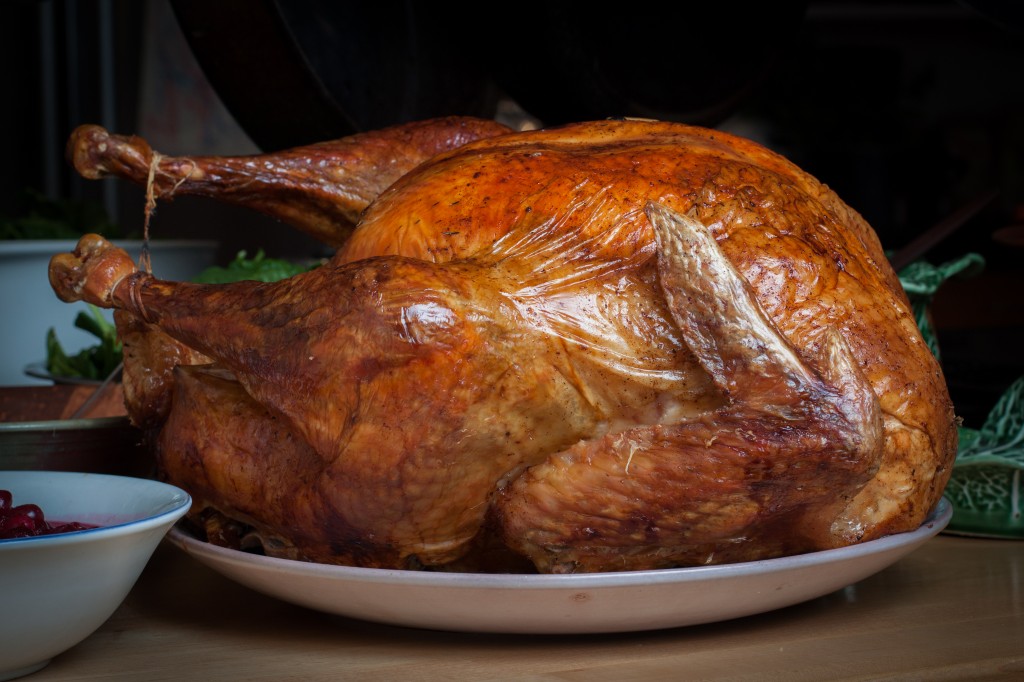 Thanksgiving Turkey Dinner HD Wallpaper Food