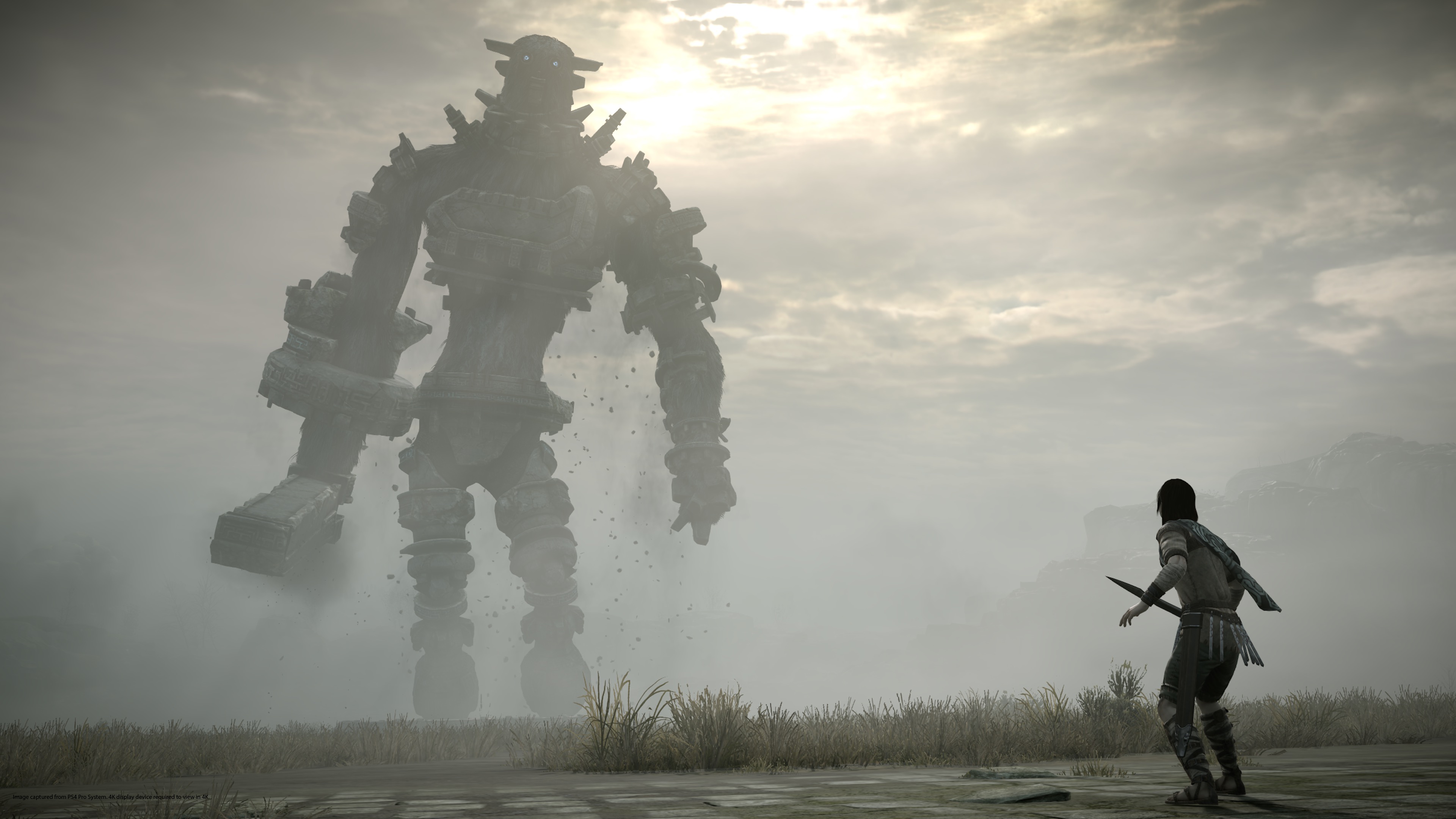 Shadow Of The Colossus Ps4 Screen