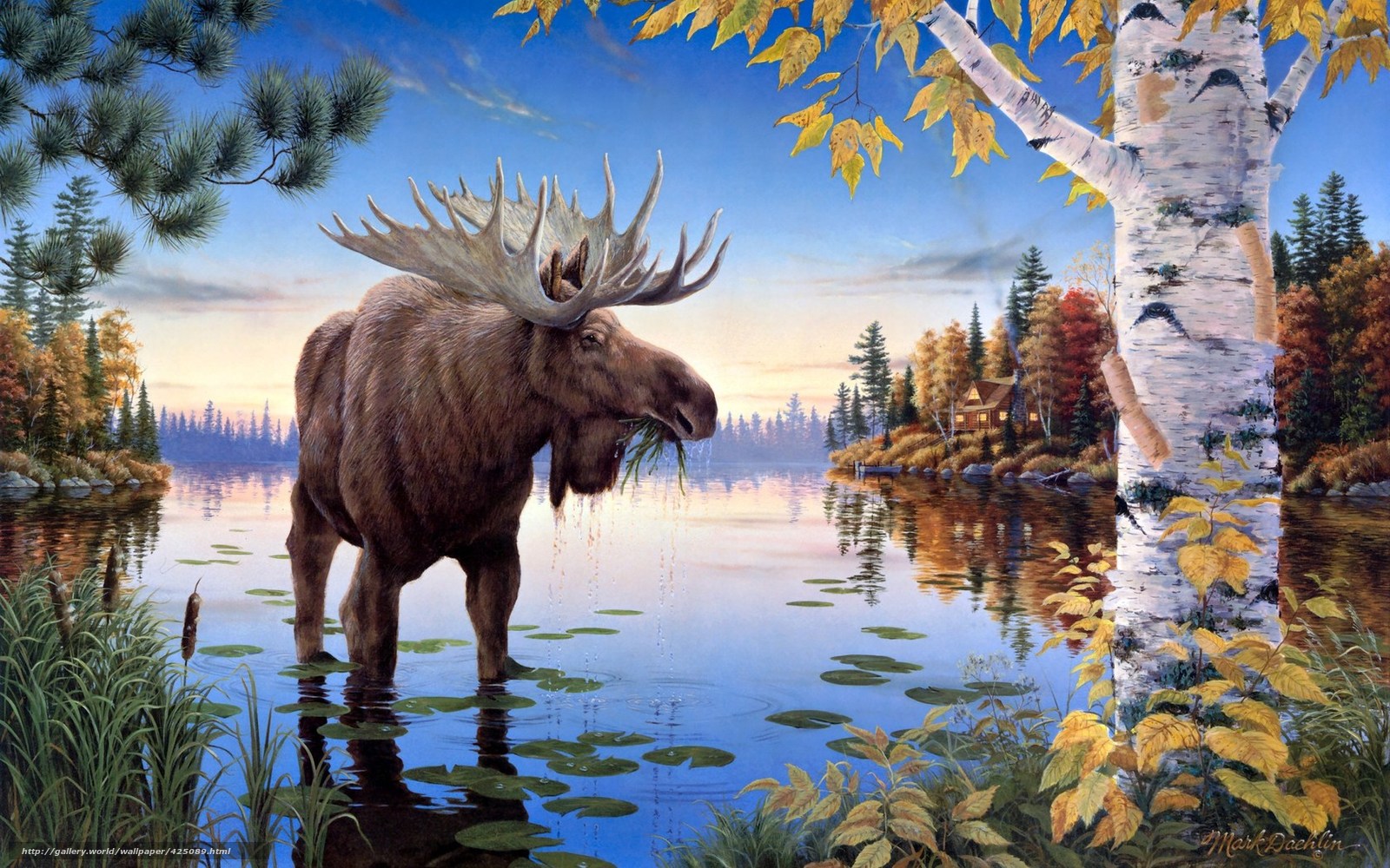Wallpaper Painting Elk Lake Reeds Desktop