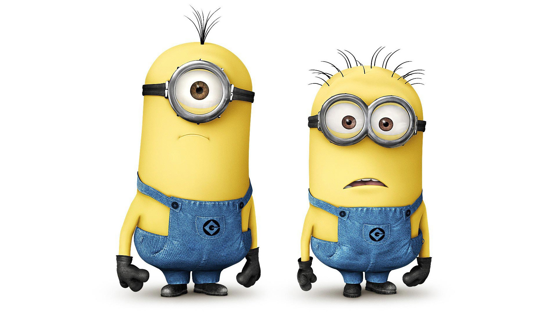 Despicable Me Minions Covers Wallpaper HD