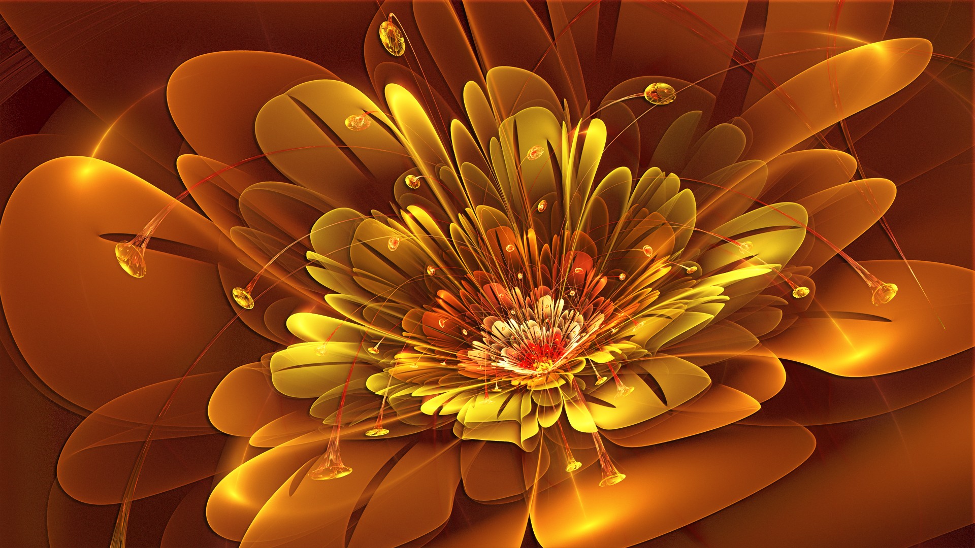 Abstract Flower Wallpaper Rose Pictures