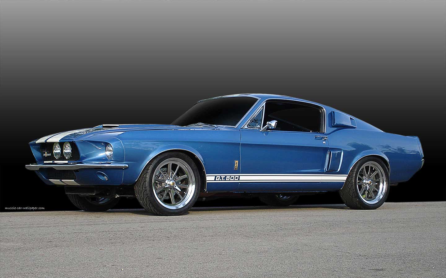 Ford Mustang Shelby Gt500 Muscle Car Wallpaper