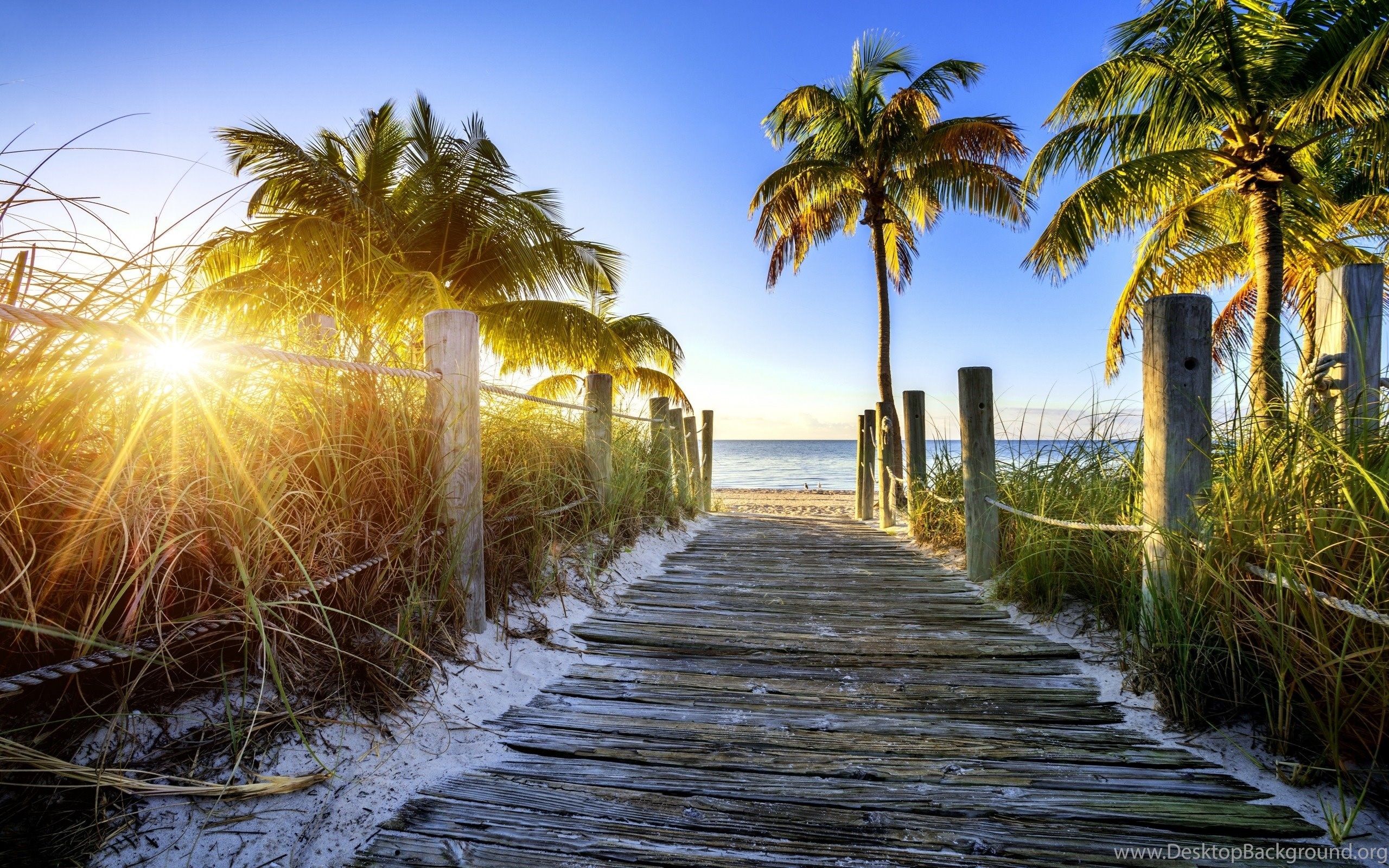 Hình Nền Florida Landscape: Khám phá địa điểm du lịch tuyệt đẹp của Florida chỉ với một cái nhìn vào hình nền này. Đứng trên bờ biển và ngắm nhìn bầu trời xanh thẳm, đó là trải nghiệm không thể nào quên. Hãy để hình nền Florida Landscape truyền tải cho bạn niềm đam mê vô cùng đối với thiên nhiên và du lịch.