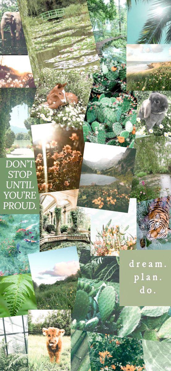 Green Nature Wallpaper Collage