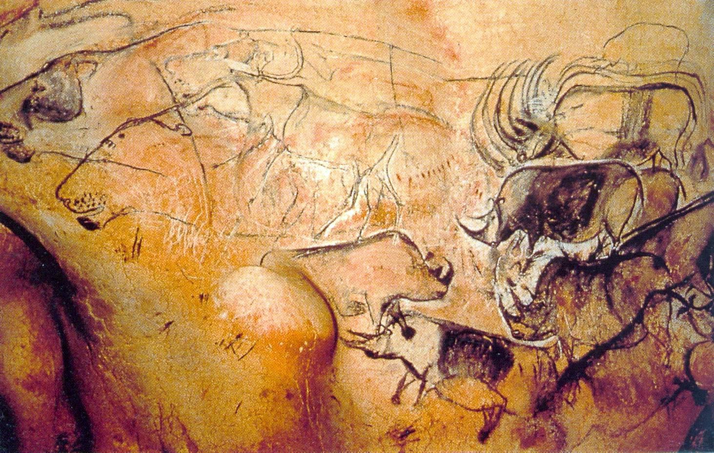 Chauvet Cave Painting Wallpaper Art Wallpaperjpg