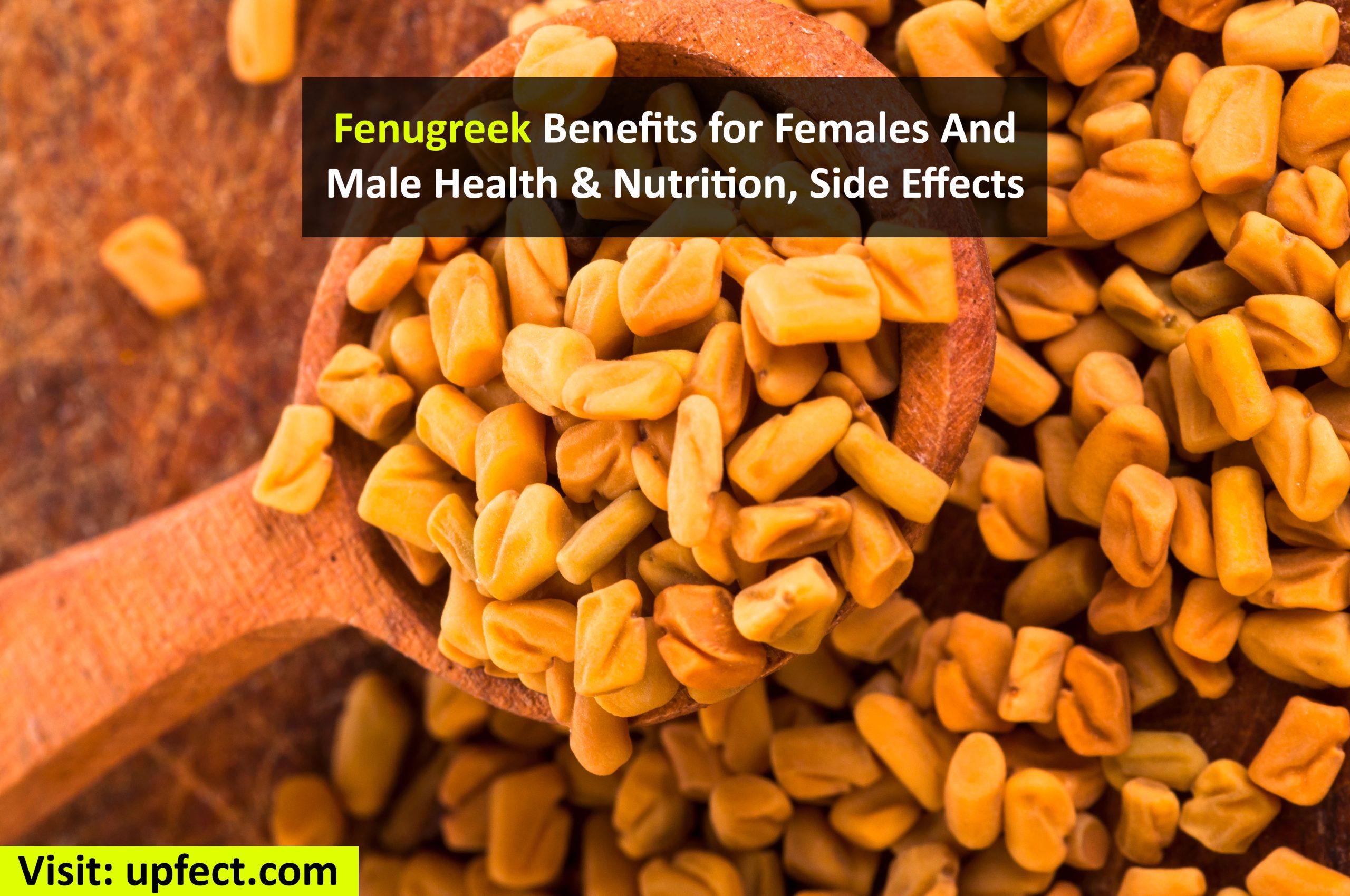 Side Effects Of Drinking Fenugreek Powder At Johnny Will Wallpaper