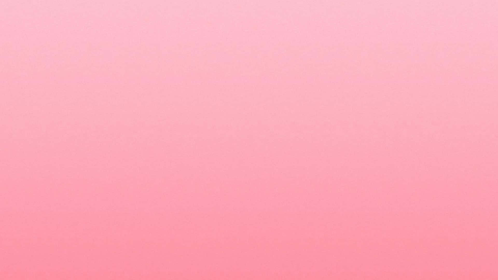 Solid Pink Wallpaper