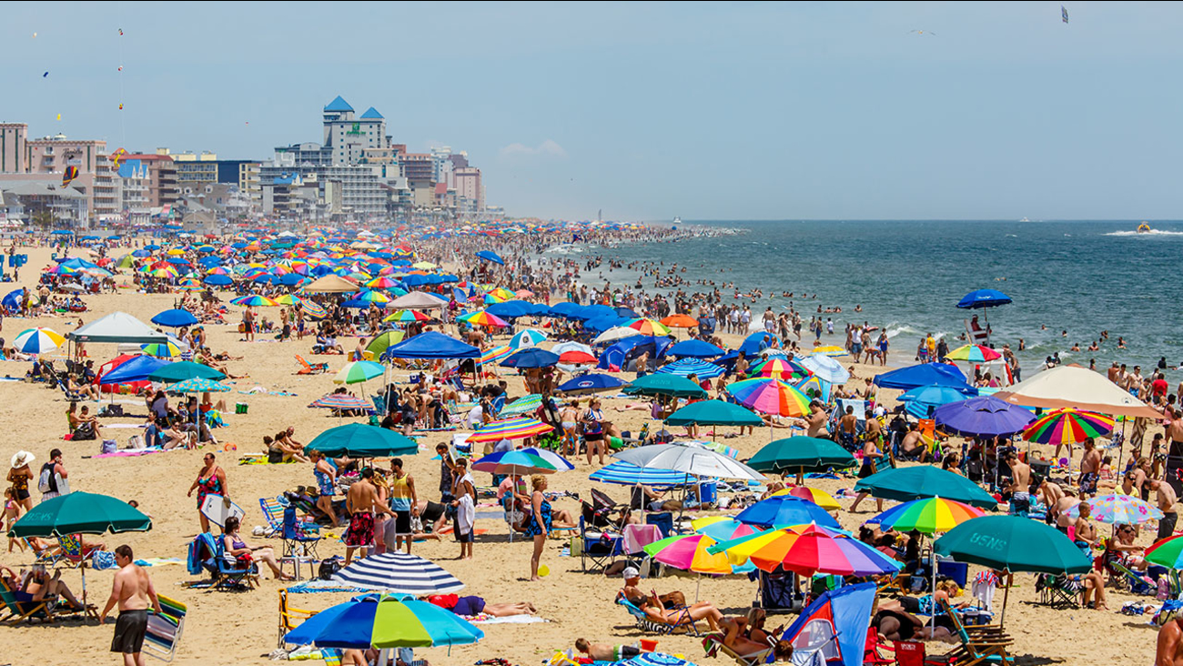 Sea Lice Outbreak In Ocean City Maryland Causes Disfort For